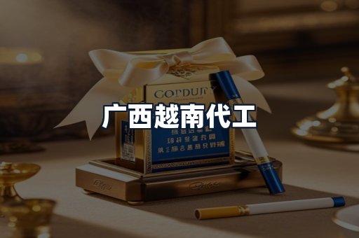 广西越南代工